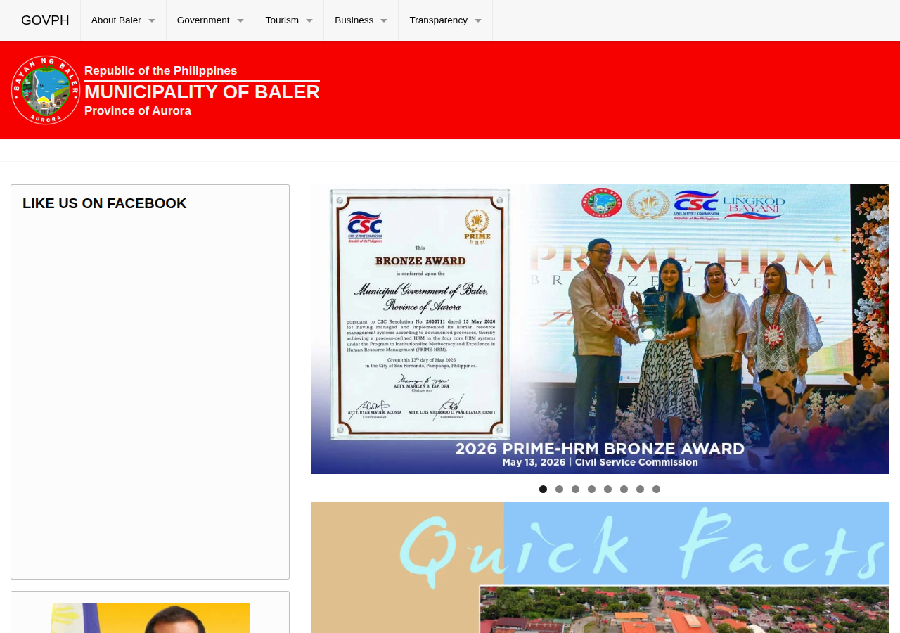 Municipality of Baler homepage before