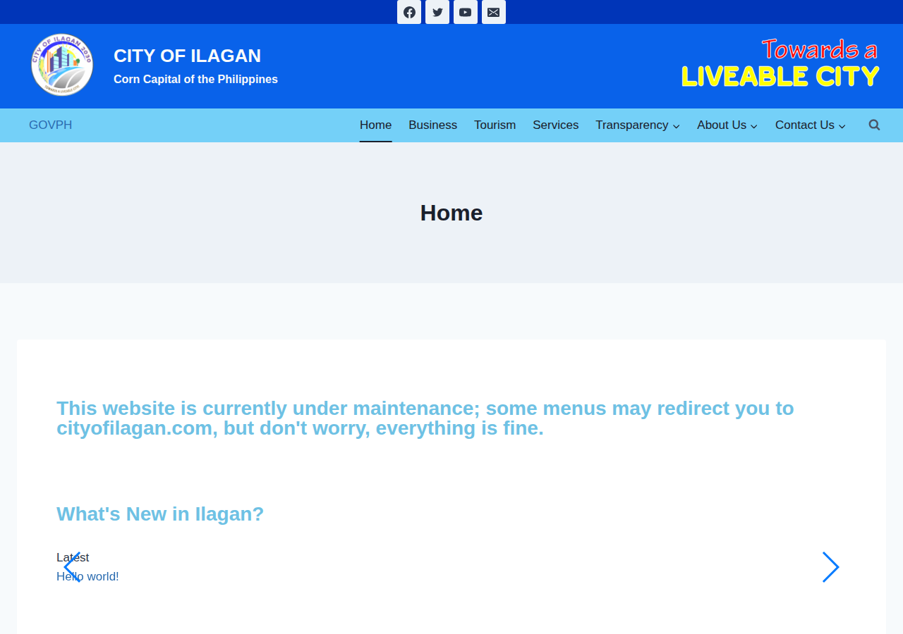 City Government of Ilagan homepage before