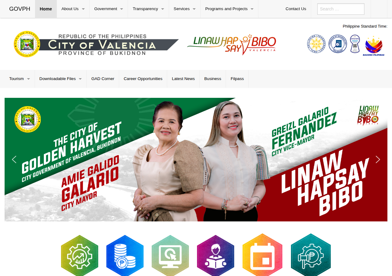 City Government of Valencia homepage before