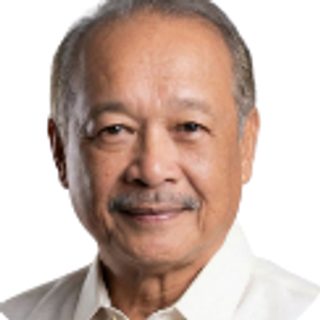 Hon. Noel T. Veridiano II, Member, Private Sector Representative, in a white shirt