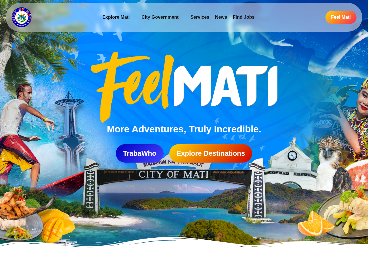 City Government of Mati homepage before