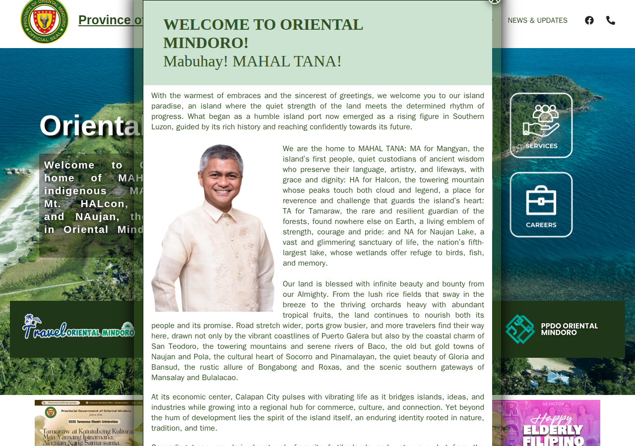 Province of Oriental Mindoro homepage before