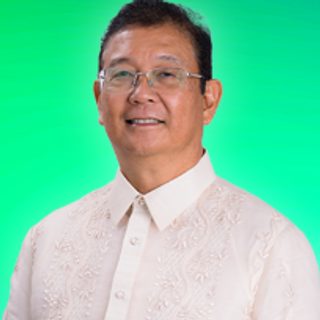 Engr. Albert D. Chua, City Vice Mayor Presiding Officer, in a barong