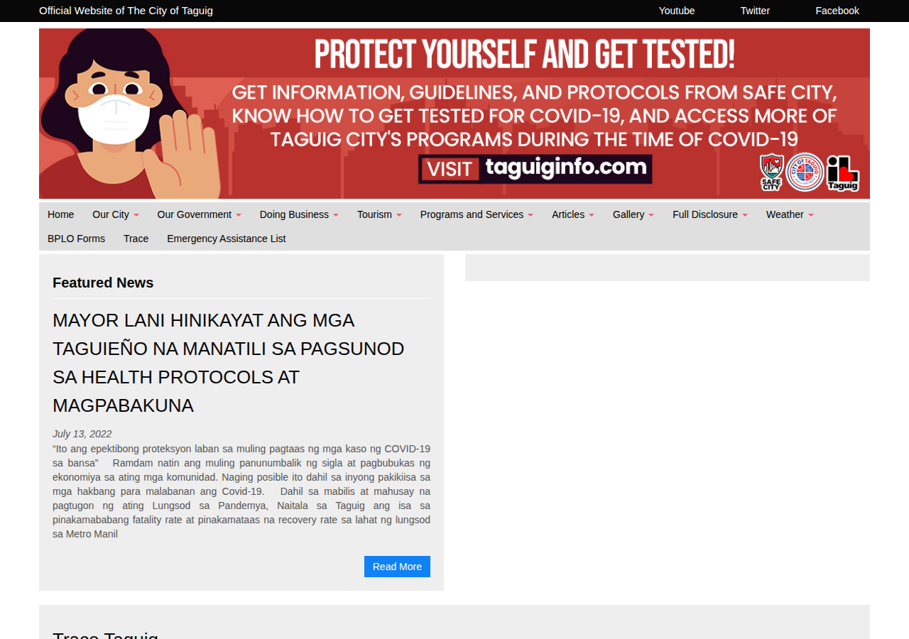 City Government of Taguig homepage before